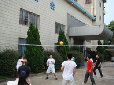 1win第四届排球角逐顺遂落幕