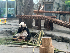 1win·(中国区)官方网站